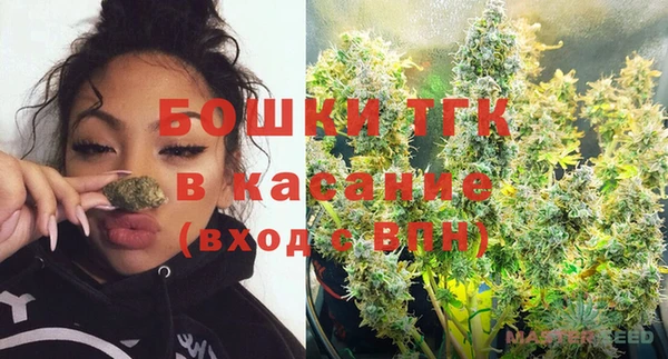 сатива Нязепетровск
